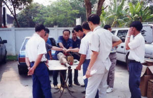 d0203.jpg