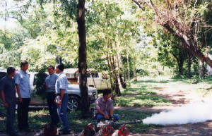 d0210.jpg