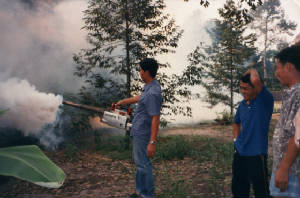 file0029.jpg